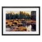Stupell Industries Grazing Bison Along Riverbank Framed Print Under Glass, design by Paco Young